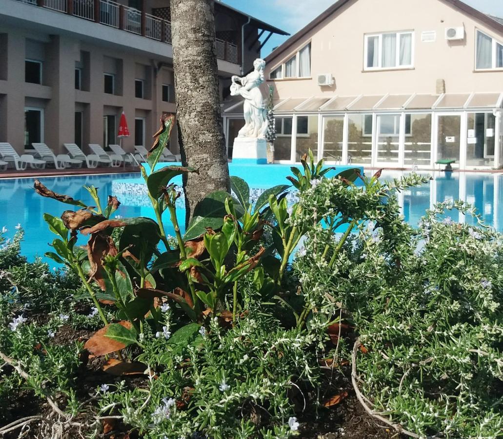 Hotel Oazis Wellness Panzio